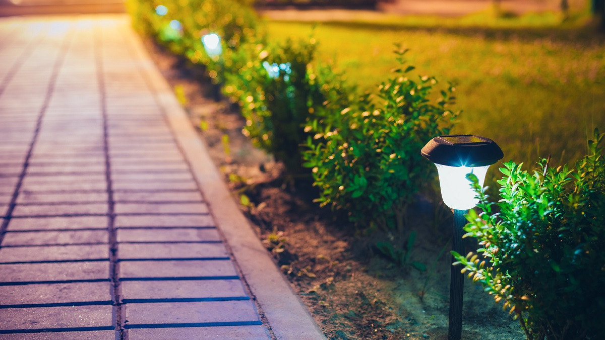 Closeup of a neat, well maintained lawn and walkway to someone's house.